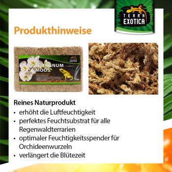 Terra Exotica Sphagnum Moos - ca. 500g